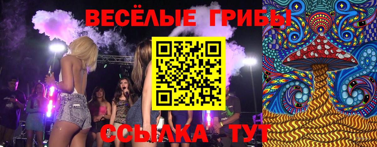 Галлюциногенные грибы Magic Shrooms  Вход с VPN  Петропавловск-Камчатский 